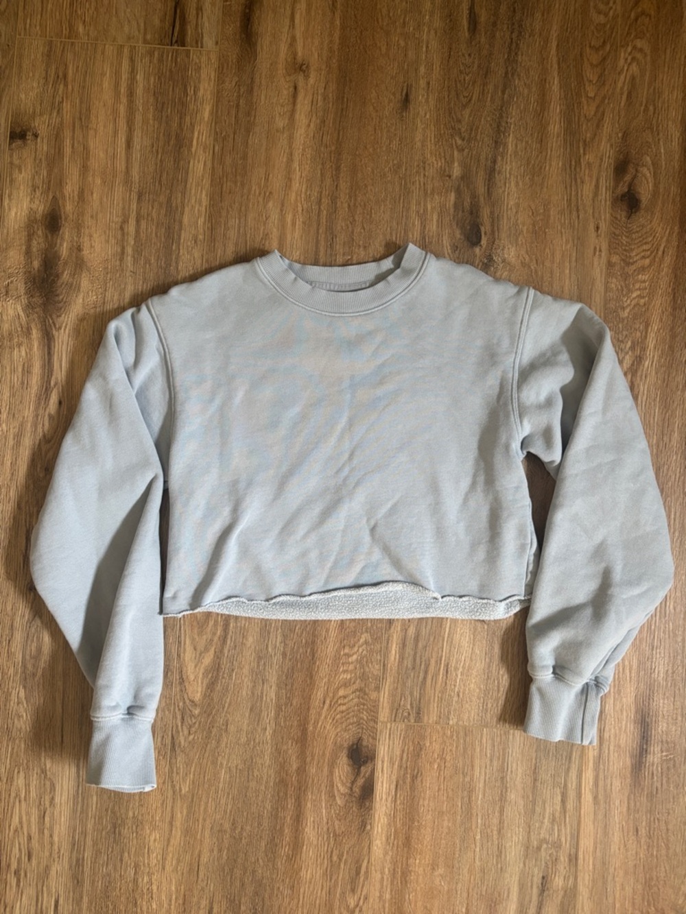 Aritzia/TNA Cropped Crewneck Sweatshirt - Dusty Blue